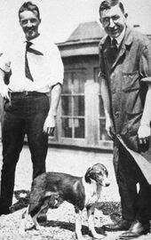 Banting, Best and a dog