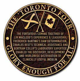 This is the bronze interpretation plaque embedded in the path under the wall behind Macleod's statue which briefly explains the contributions of the Toronto Four in bringing insulin to the world. It repeats a quote from Professor Llewellys Barker of Johns Hopkins, Baltimore who, addressed the company of some 400 guests at the Nobel Gala Dinner held in the University of Toronto's Hart Hall, on 26 November, 1923. Presumably aware of the tensions regarding credit for the medical breakthrough, Professor Barer said, “In Insulin, there is glory enough for all'. 'Glory Enough for All' was the title of an acclaimed docu-drama made for Canadian television in 1988, based largely on Professor Bliss's 1982 book, 'The Discovery of Insulin'.